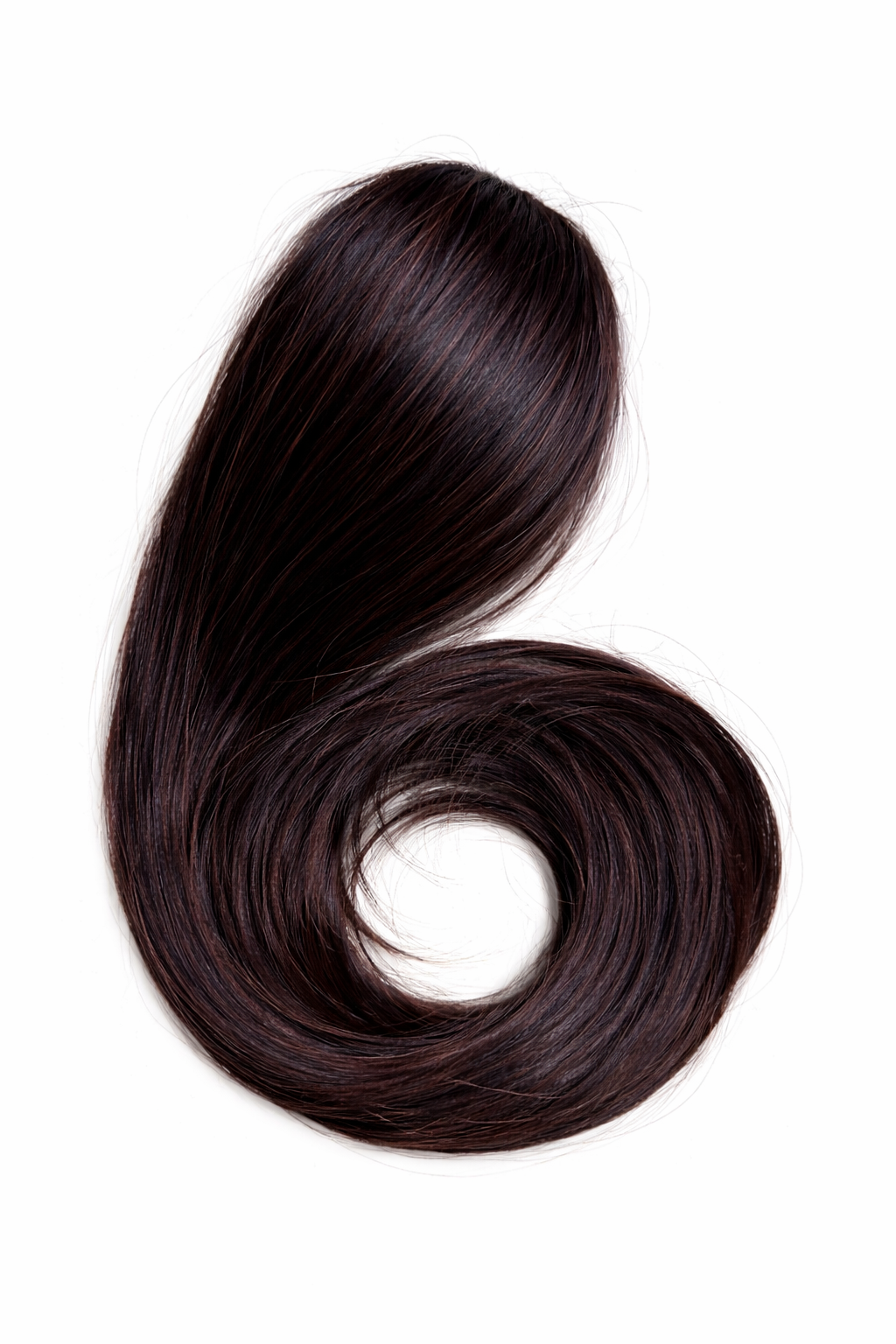 Betty Clip on Ponytail