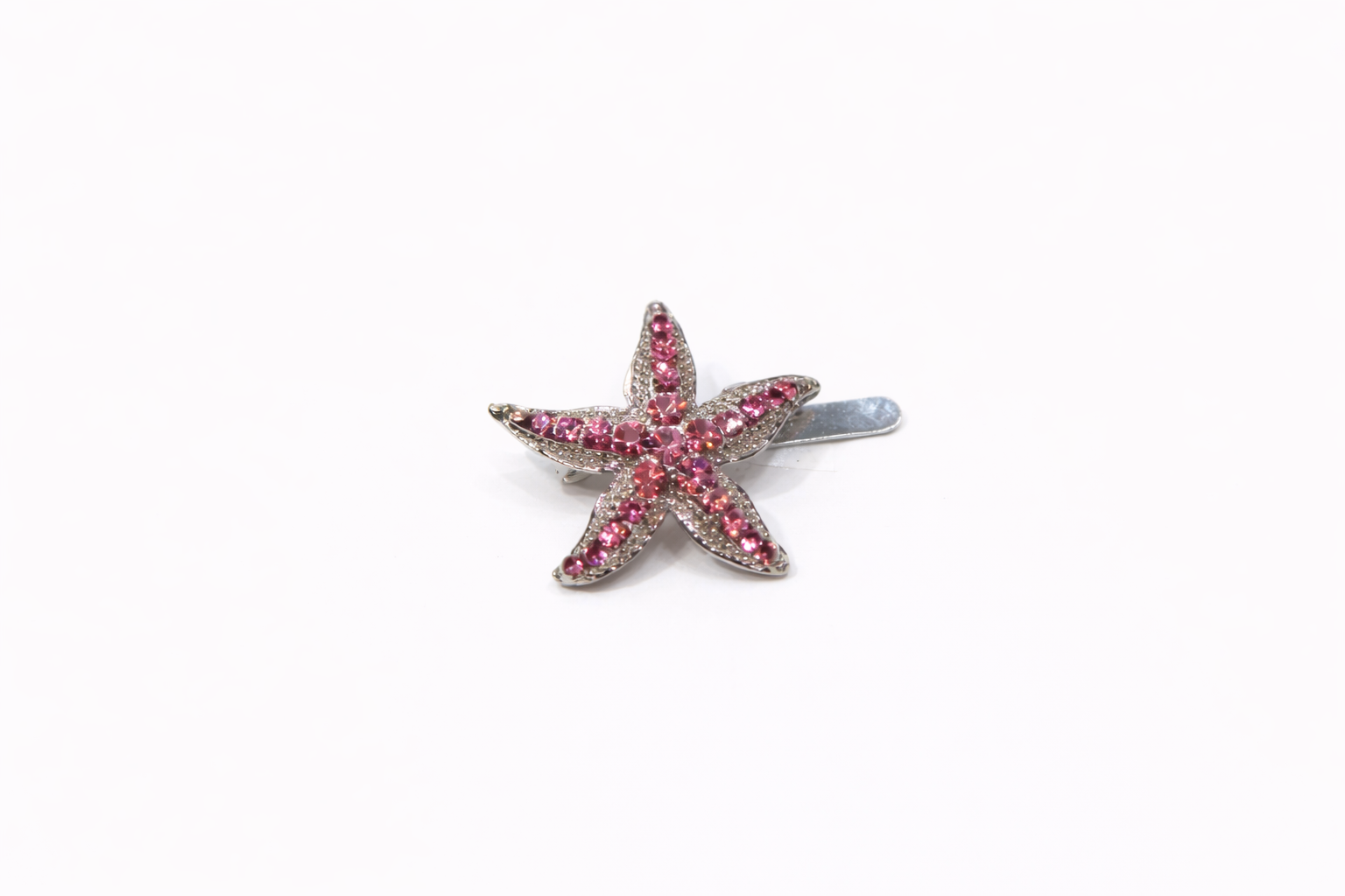 Starfish Magnet Clip